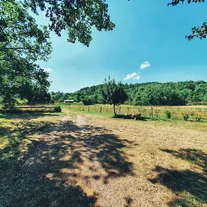  Camping Des Vignes France